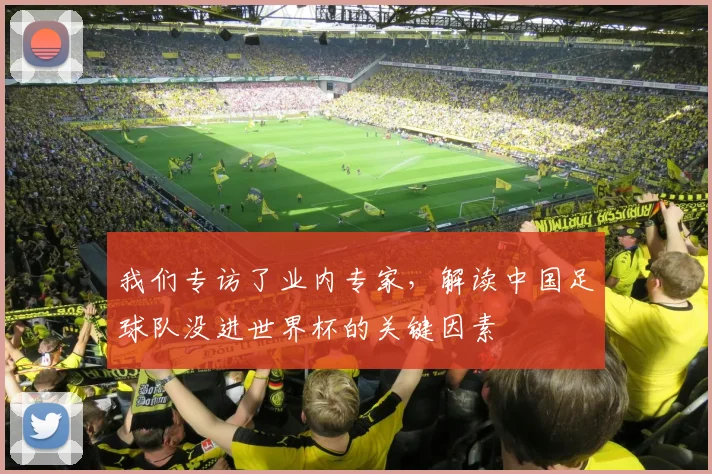 我们专访了业内专家，解读中国足球队没进世界杯的关键因素