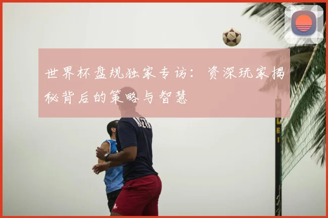 世界杯盘规独家专访:资深玩家揭秘背后的策略与智慧