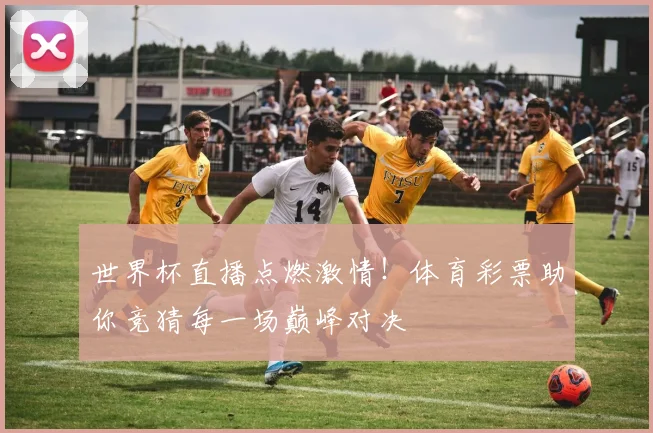世界杯直播点燃激情！体育彩票助你竞猜每一场巅峰对决