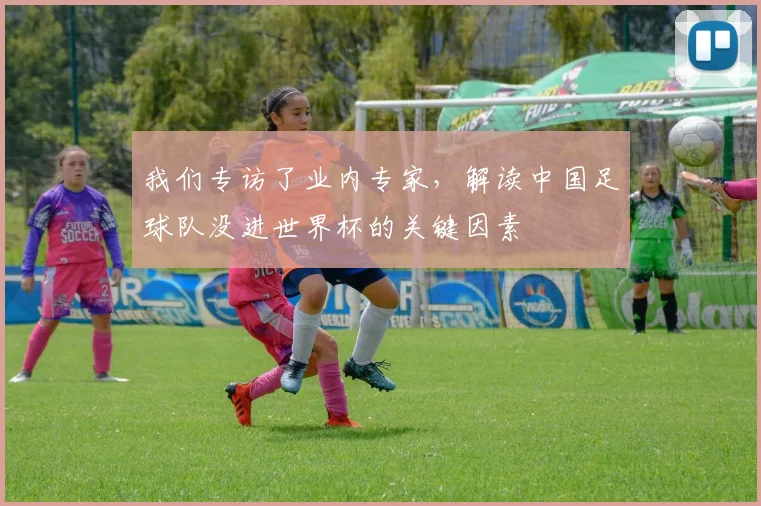 我们专访了业内专家，解读中国足球队没进世界杯的关键因素