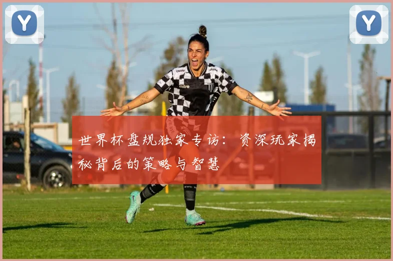 世界杯盘规独家专访:资深玩家揭秘背后的策略与智慧