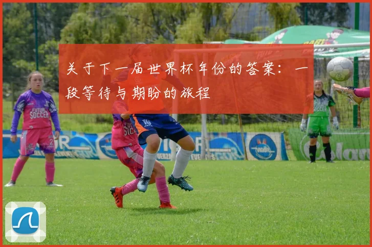 关于下一届世界杯年份的答案：一段等待与期盼的旅程