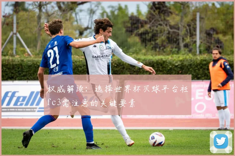 权威解读：选择世界杯买球平台衽fc3需注意的关键要素