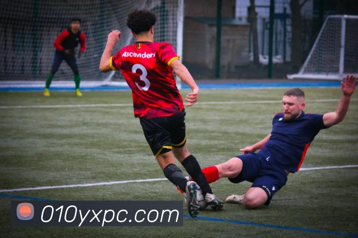 mksports官方网站登录入口平台生态图